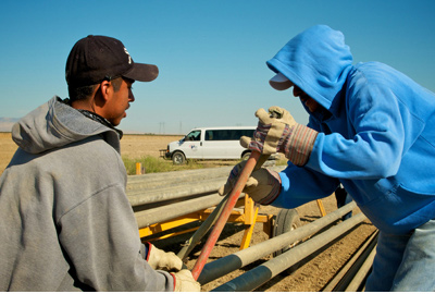 Farmworkers with water pipe